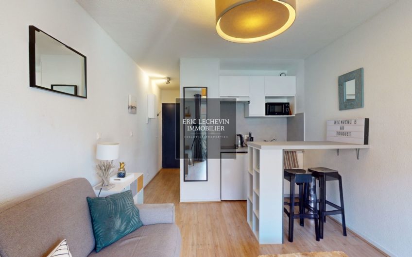 Appartement en centre-ville